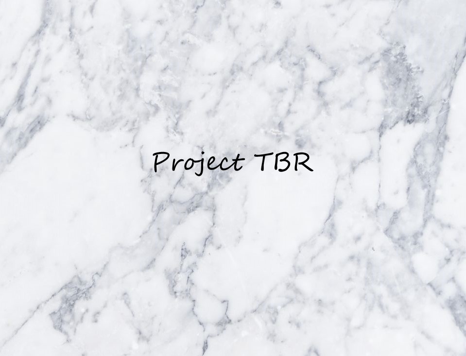 project-tbr-leesmeemetmij